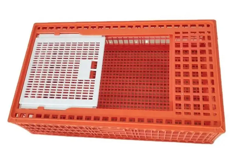 High-Quality-Yellow-Color-Large-Plastic-Transport-Basket-Box-for-Poultry-Live-Chickens-and-Ducks (3)