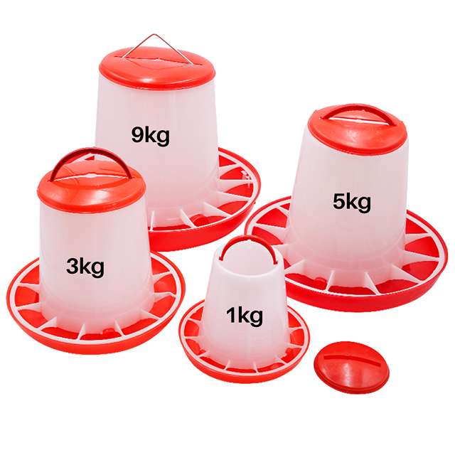 معلف دواجن بلاستيكي لتربية الدجاج 3